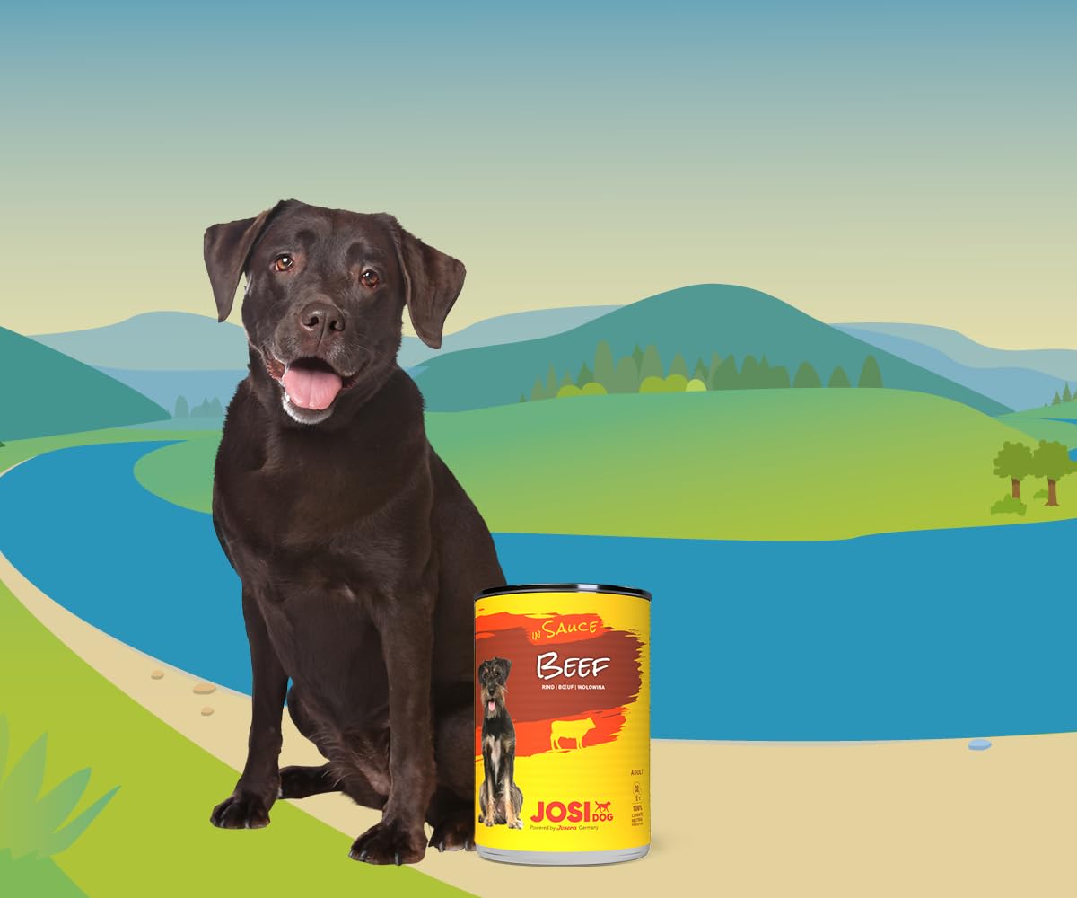 JosiDog Manzo in salsa (12 x 415 g) cibo per cani umido con manzo vitamina D3 E mangime completo