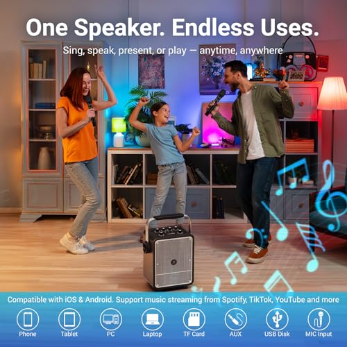 High Power Karaoke Machine with Display