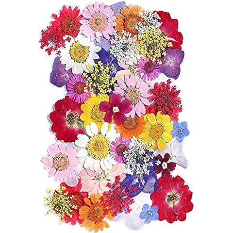 Fleurs séchées CENPEK Cover