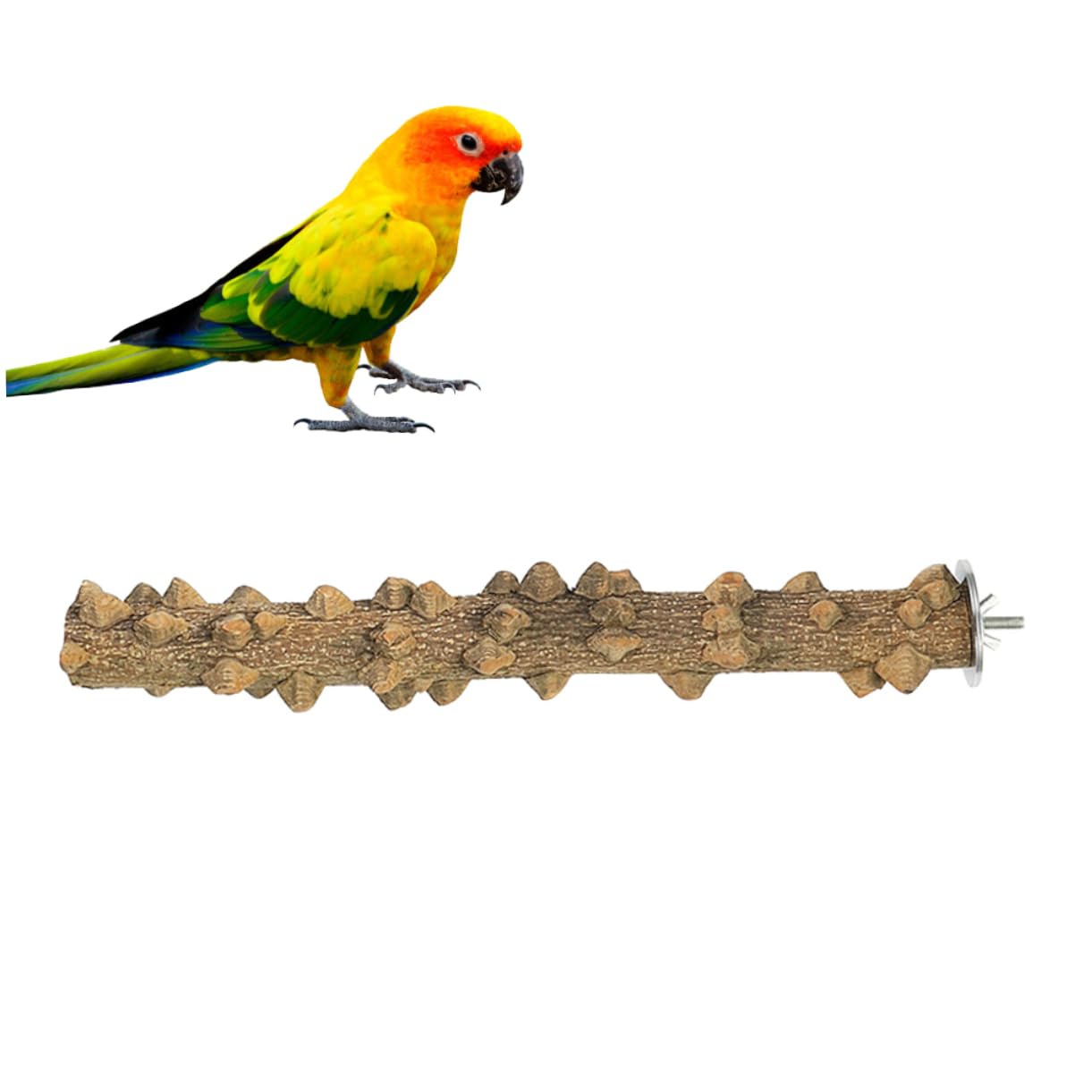 minkissy 3 Stücke Vogel Sitzstange Für Käfig Papagei Spielständer Natürliche Holz Vogel Spielzeug Ständer Für Papageien 25x2 5x2 5 cm Vögel Zubehör