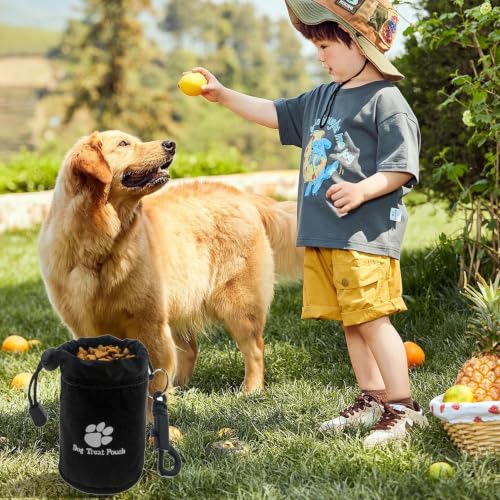 Bolsa de refrigerios para adiestramiento de perros en parques y excursiones 7