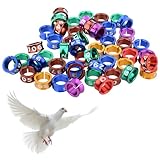 Open Bird Ring Aluminum Alloy Split Ring Bird Leg Bands Rings Birds Tags Ldentifying Pigeons Training Rings Hibiscus Birds, Parrots, Peonies, Doves, etc.Mixed Colors 50 PCS Per Pack（ID 7.0MM）