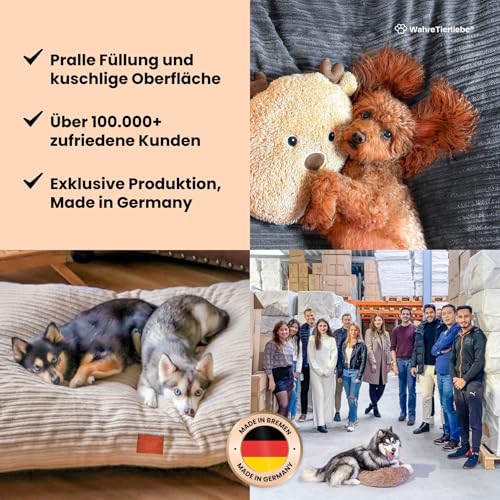 WahreTierliebe® Cozy Hundebett, Premium Hundekissen, Orthopädischer Komfort, Waschbar & Pflegeleicht, Strapazierfähiger Bezug, Perfekt für Zuhause und unterwegs