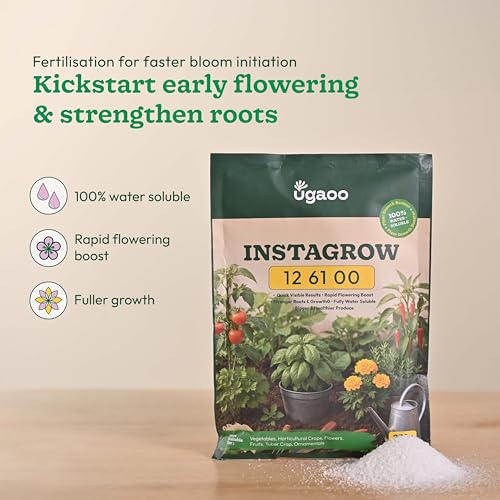 Image of Ugaoo InstaGrow NPK 12:61:00 Fertilizer (250g) | High Phosphorus Water-Soluble Fertilizer for Fast Root & Flower Growth | Ideal for Fruits & Vegetables