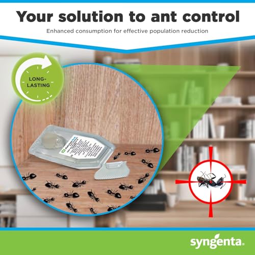 Syngenta Advion Ant Gel Station Insecticide, Ready-to-Use Gel Bait with The Active Ingredient Indoxacarb, Ant Bait for Use Indoor and Outdoor, 12 Boxes (36 Total Stations)