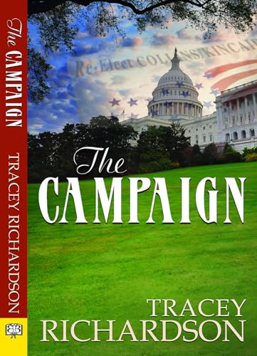 The Campaign view 2