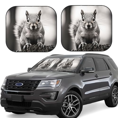 Pare-soleil pliable pour pare-brise de voiture gris clair taille M x2