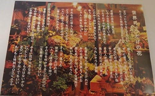Amazon Smap 歌詞 ポストカード 世界に一つだけの花 アイドル 芸能人グッズ 通販