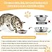 MicoSim Stainless Steel Cat Bowl - Shallow Wide Flat Cats Food Bowls,Metal Kitten Dishes Whisker Friendly Fatigue Relief,Replacement Basic Kitty Plates for Elevated Stand,Dishwasher Safe（Set of 12）