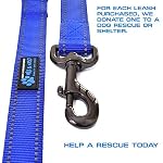 Max and Neo Double Handle Traffic Dog Leash - Reflective, Donates to Dog Rescue (Teal, 6 FT) - Image 3