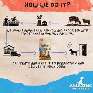 Amazing Dog Treats - 5-6 Inch Meaty Beef Marrow Bones (2 Count) - Best Bones for Dogs - Long Lasting Dog Chew Bones - Filled Marrow Dog Bone Amazing Dog Treats – 5-6 Inch Meaty Beef Marrow Bones (2 Count) – Best Bones for Dogs – Long Lasting Dog Chew Bones – Filled Marrow Dog Bone