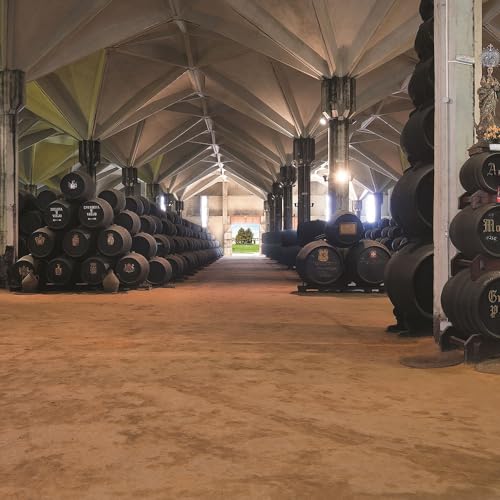 Don Zoilo Oloroso| Sherry |oxidativ gereift |Ausgezeichnet u.a. mit über 90 Punkten bei Spaniens Weinführer Nr. 1: José Peñín | 750ml | 19 % Volume