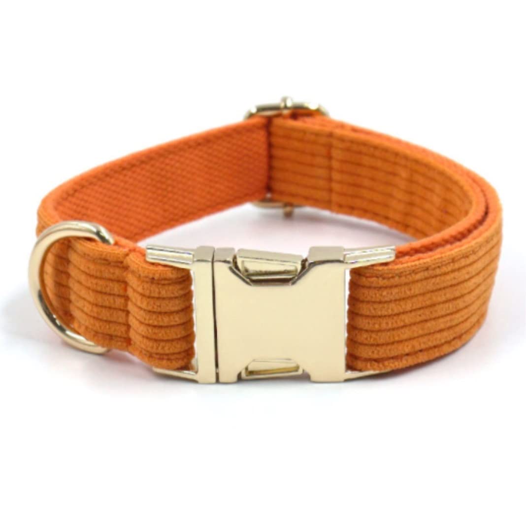 Morbido Guinzaglio Per Cani Guinzaglio A Catena Per Cani Con Fibbia In Acciaio Resistente Collare Papillon Forte A In Argento Dorato Per Antiscivolo Flexi(49-55cm)