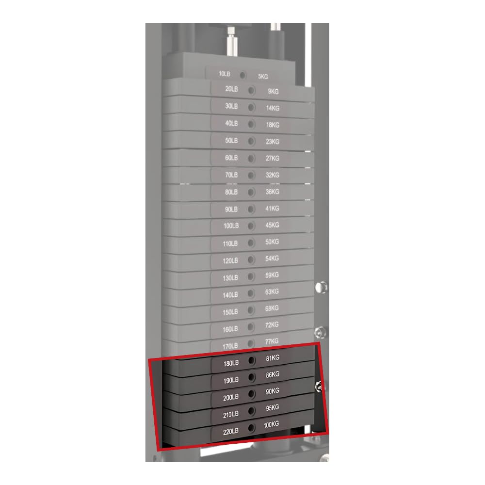 Weight Stack Frame Force USA Weight Stack Upgrade (1 x 50lbs) (F-WS-UPGRADE-50lb ...