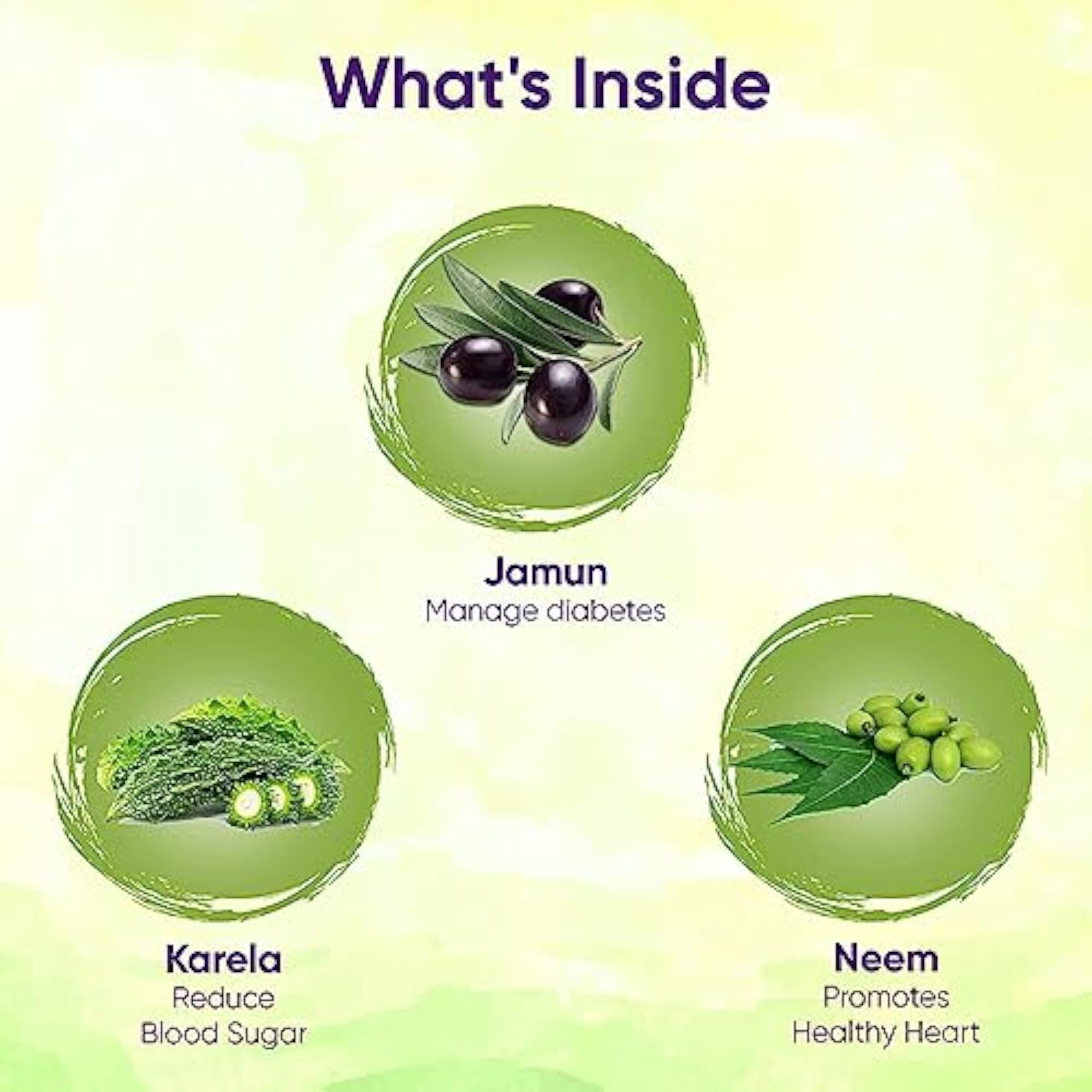 Neem Karela Jamun & Giloy Tulsi Juice - Pack of 2, 800 ML