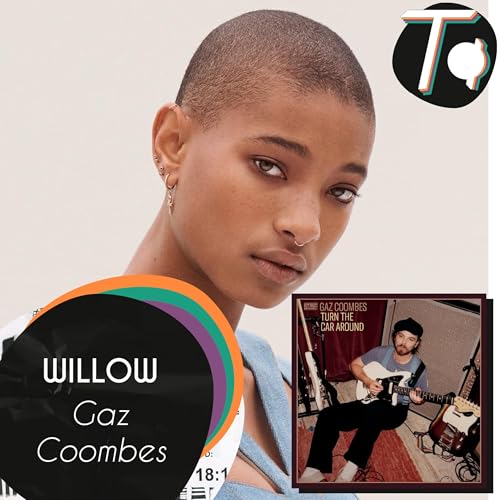 WILLOW // #TAReview Gaz Coombes - Turn The Car Around