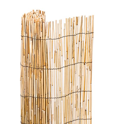 Wolder Brico - Cañizo Bambu Pelado 1.50X5Mt