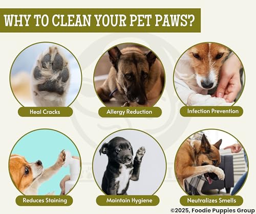 Image of Foodie Puppies Dog Paw Cleaning Foam with Mist Fragrance - (500ml Refill) for All Dog Breeds | Aloe Vera Extract | Gently Nourishes and Soothes Paws Effectively Removing Dirt, Mud & Grime