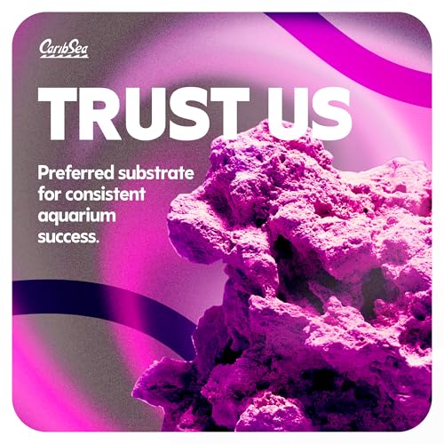 Image of CaribSea LifeRock Base Rock - 40 lbs - Natural Aragonite Rock for Custom Aquascaping, Supports Marine & Reef Environments, Enhances Tank Stability