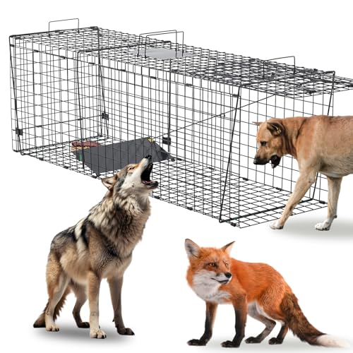 JY CLASSIC Humane Live Animal Trap for Foxes, Coyotes,Bobcats and