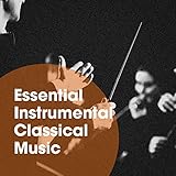  Konzert für Violine in g minor, op. 12 nr. 1, rv 317: II. Largo - adagio