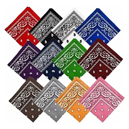 Kit 12 Bandana Lenço Coloridos Versátil Cowboy Masculino Feminino