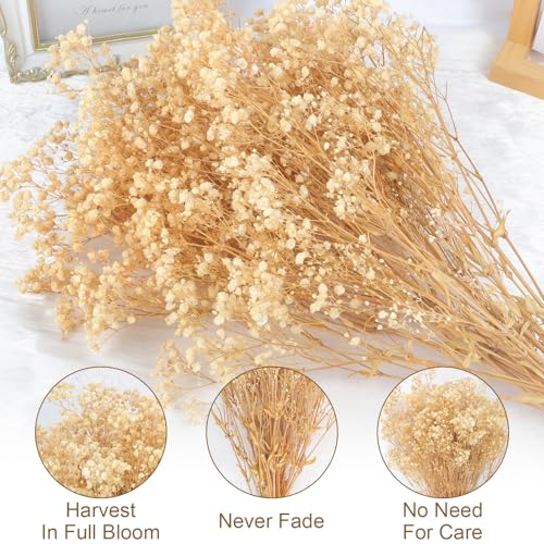 Dried Flower Bouquet,17" Natural Dried Pampas Grass Decor, Boho Pampas Dried Flower Arrangements Contains Bunny Tails Dried Flowers Eucalyptus and Reed Grass for Home Decor - Image 3