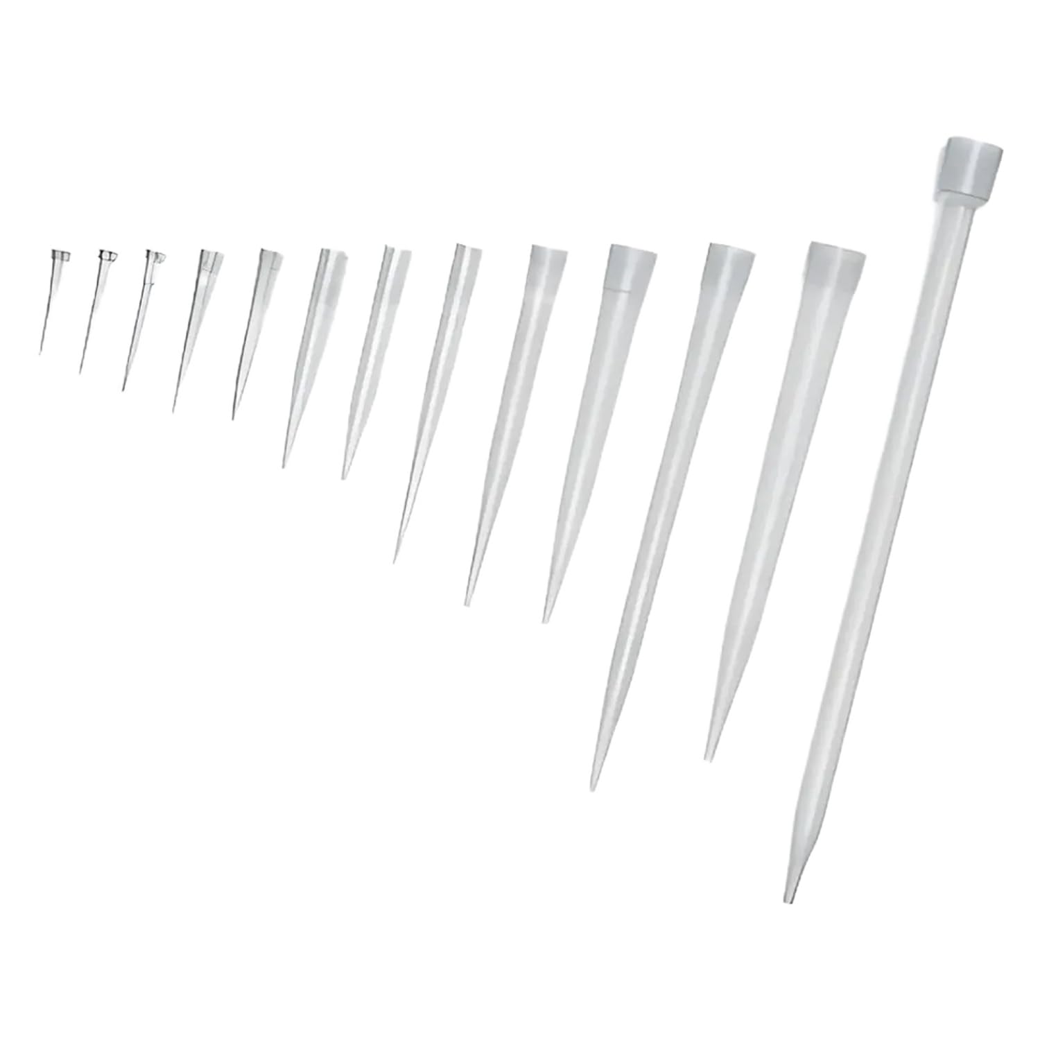 Eppendorf epT.I.P.S. Puntas de pipeta estándar, color amarillo, puntas incoloras, capacidad de 2-200 µL, 53 mm de longitud, 1000 unidades