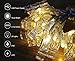 Ohbingo 30 Led Outdoor Christmas Lights Photo Clips String Lights USB Operated Fairy Lights Patio lights for Xmas, Bedroom, Indoor, Party, College Dorm Room, Ideal Gift 12ft Warm White