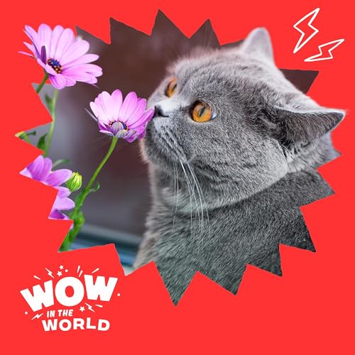 The Purrr-fect Match: Cats, Chaos, Science, and Smelly Surprises!