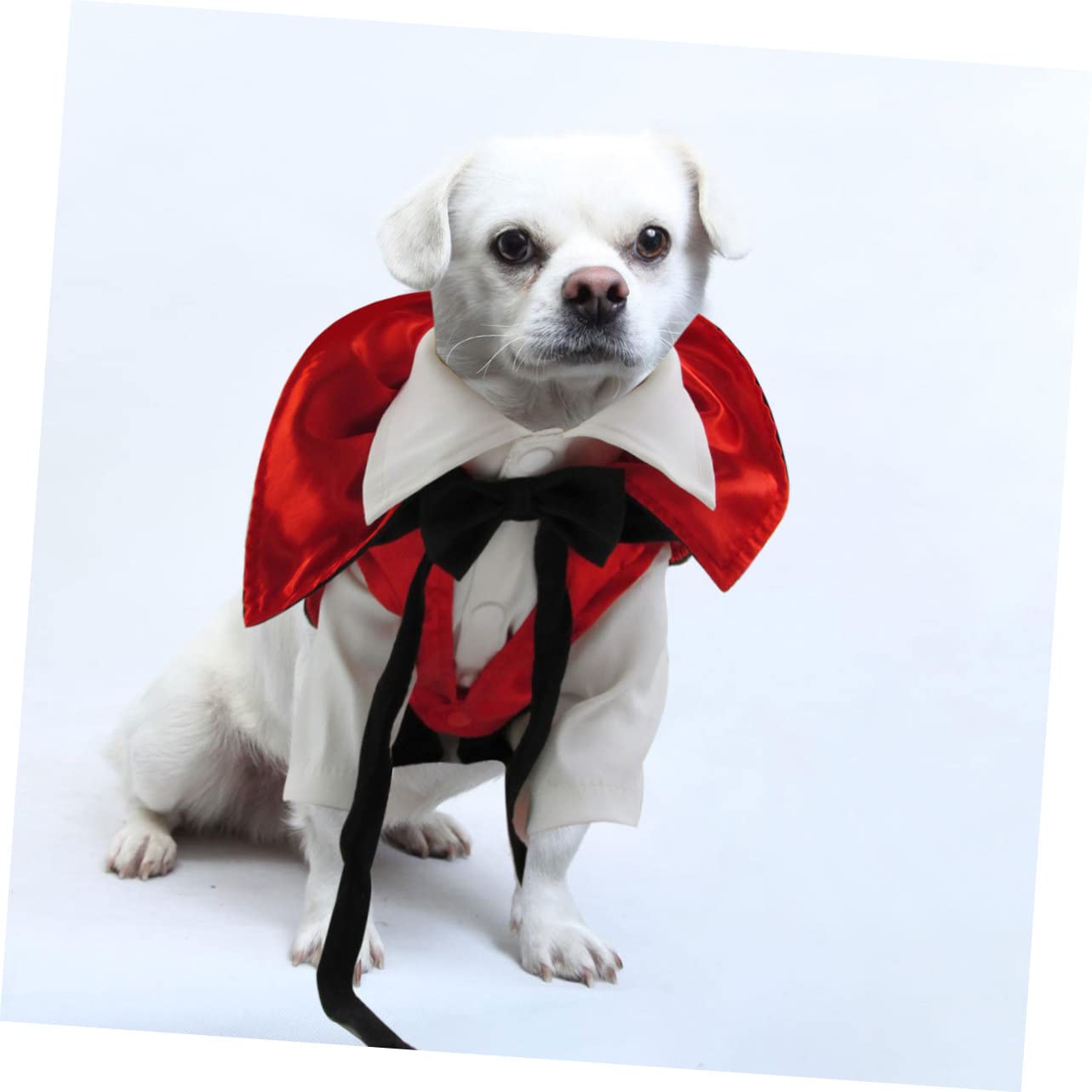 BESPORTBLE 2 Pezzi Costume Di Trasformazione Per Animali Domestici Vestiti Funky Costume Di Halloween Per Animali Domestici Da Sanguisuga Per Vestiti Per Cani Da Compagnia Forniture