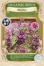 マロウ　種　100粒以上!! マロウ 種 100粒以上!!