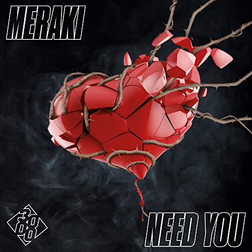 Meraki & 3000 Bass