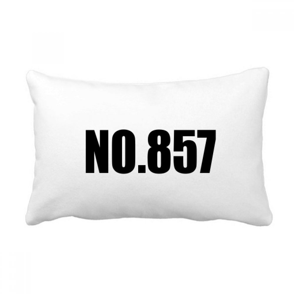 Coussin Lombaire 16x24 Pouces Oreiller Canapé Multicolore Décoratif Numéro 857
