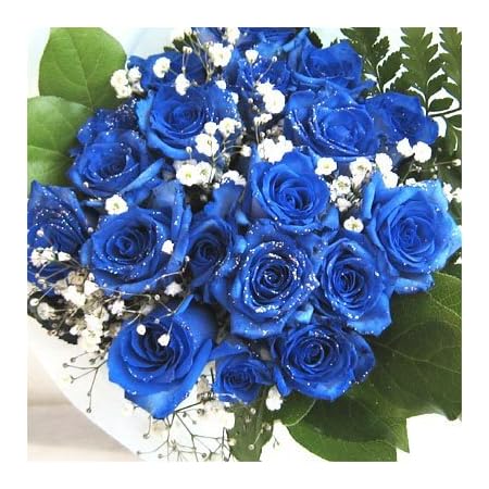 Amazon 青いバラの花束 神秘的なブルーローズ プラチナの輝き バラ10本 カスミ草 グリーン付き バラの花束 生花 花束 オンライン通販