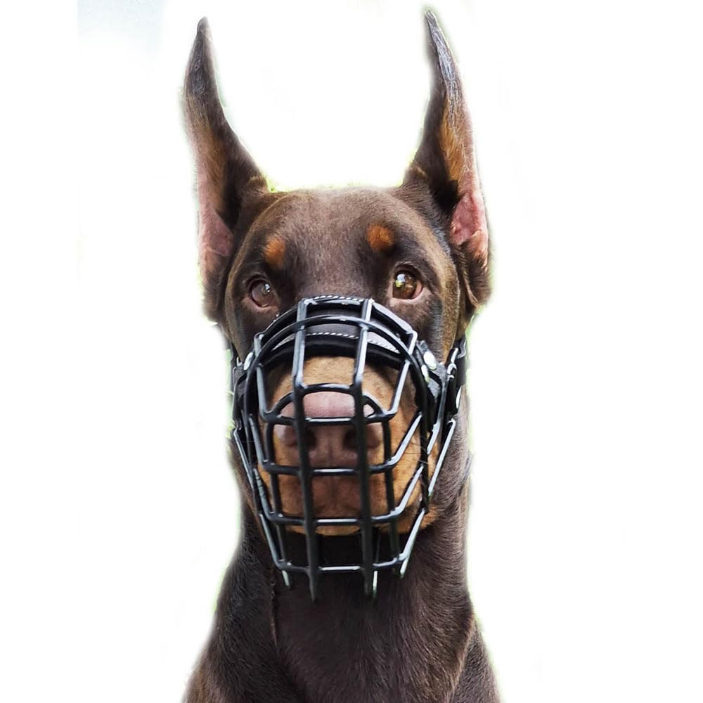 Bozal profesional de metal para perro (tamaño 31) – Cesta de alambre ergonómica para Schnauzer gigante, Doberman, Airedale Terrier, Husky – Entrenamiento resistente y equipo de seguridad diario