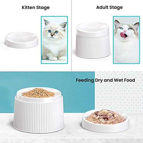 Ipettie Elevated Cat Food Bowl Cat Dish, Tilted Pet Feeding Station With Stand For Small Dog, Made From Certified Food-Safe Plastics, Better Than Stainless Steel And Ceramic #TOP3
