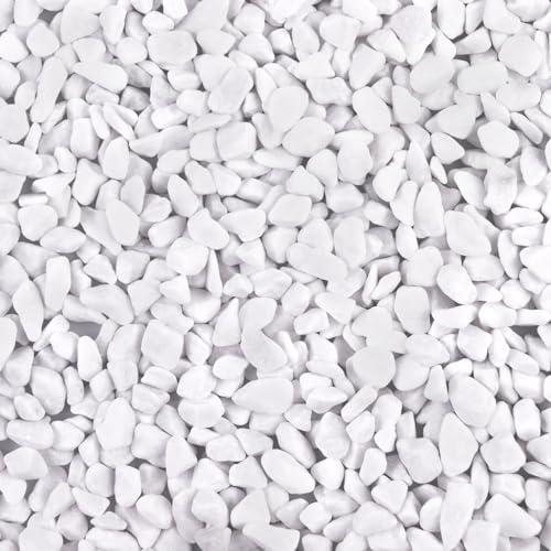 Image of 5lb River Rocks Polished Silica Gravel for Plants Garden, Decorative Pebbles Ideal for Fish Tank, Vases, Succulents, Crafting, Home Decor and Garden Landscaping, Snow White(0.2-0.3 inch)