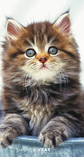 2016-2017 Kittens 2 Year Pocket Calendar