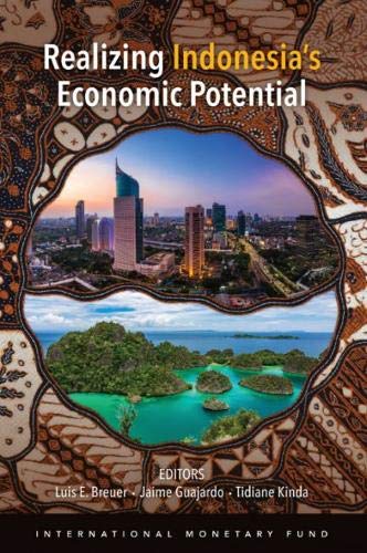 Buy Realizing Indonesia's economic potential — BookShops.in