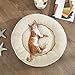 Feandrea Hundebett, Hundekorb, Katzenbett, Donut, Ø 55 cm, dunkelgrau PGW055G01
