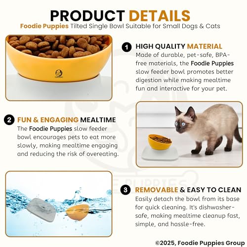 Image of Foodie Puppies Cat Food Bowl with Stand - (Orange, 500ml) Tilted Bowl Food and Water Drinking Feeder Bowl with Non-Skid Base and Easy-to-Clean Design | Suitable for Cats, Puppies and Small Dogs