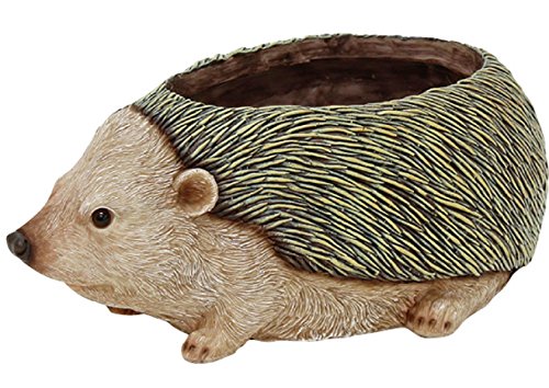 丸和貿易 チアフルフレンズ ハリネズミのプランター L 100377103