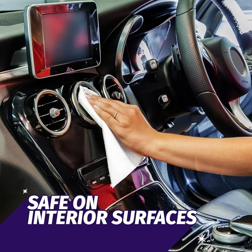 Windex Auto Wipes for Car Windows