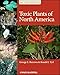 Toxic Plants of North America