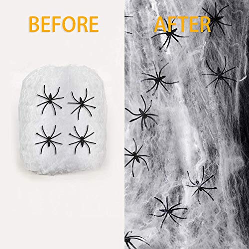 Xinmeng Ragnatela Bianca|Ragnatela