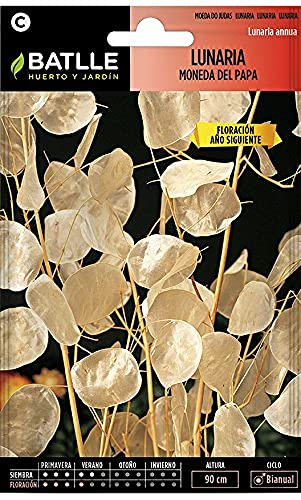 Semillas Batlle Lunaria MONEDA PAPA