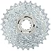 Campagnolo Veloce 10 Speed Cassette - Silver, Size 11 25