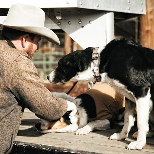 Carhartt Hundehalsband Herren Grün M