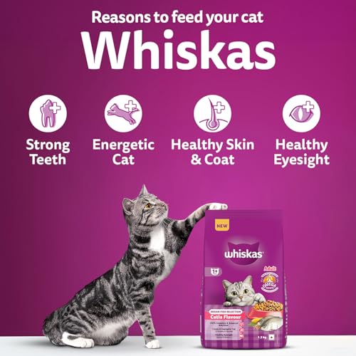 Image of Whiskas Adult (1+ Years) Dry Cat Food, Catla Fish Flavour, 1.2 kg, Powered with 40 Essential Nutrients, Complete & Balanced Nutrition for Adult Cats